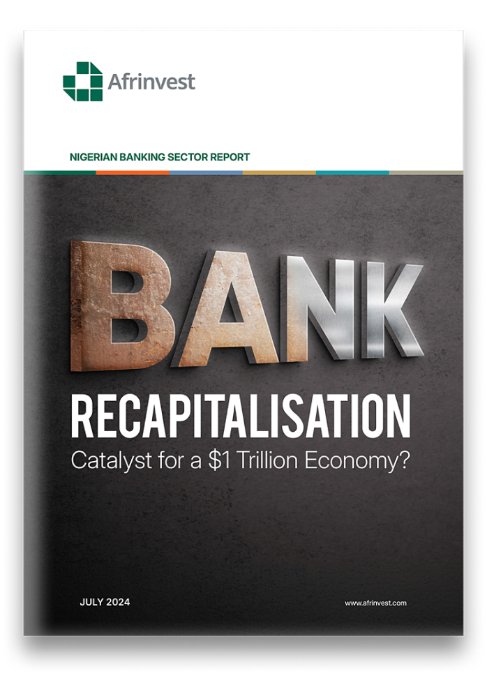 2024 Nigerian Banking Sector Report